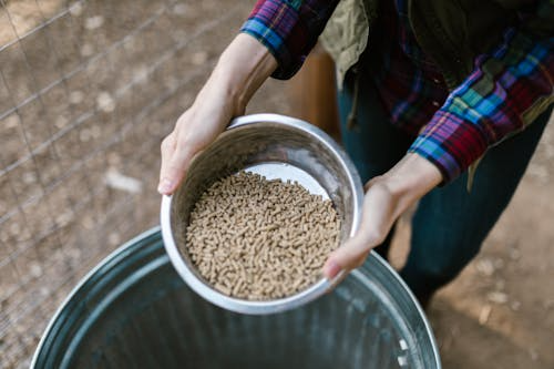 Hemp Animal Feed